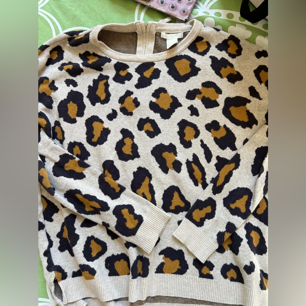 H&M Cheetah Print Boxy Sweater